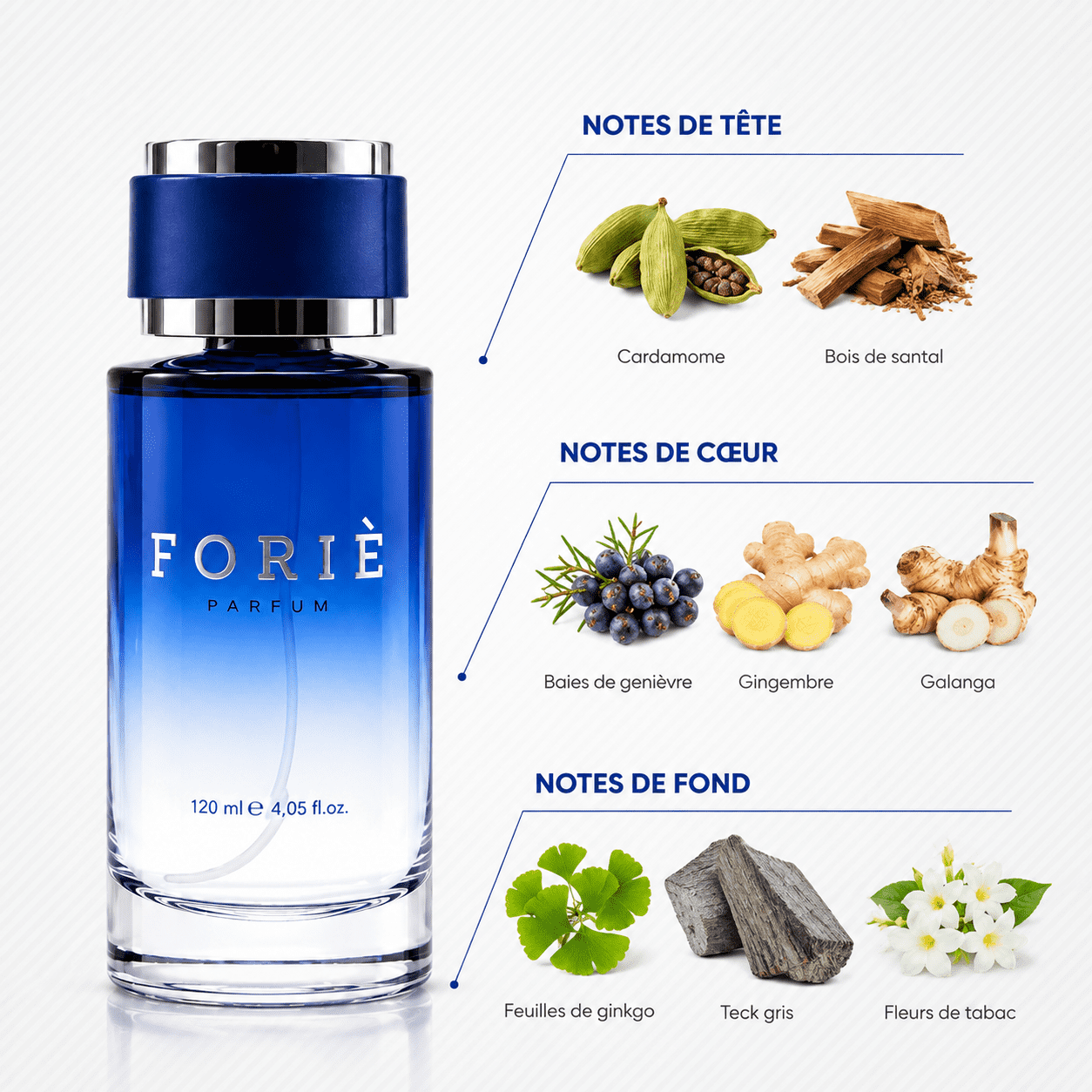 Parfum homme foriè fr55 120 ml