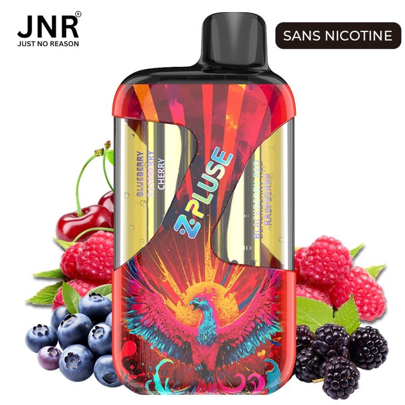 Puff Zpluse 42K – Blueberry Raspberry Cherry + Blackberry Red Raspberry (0mg) - Sans Nicotine