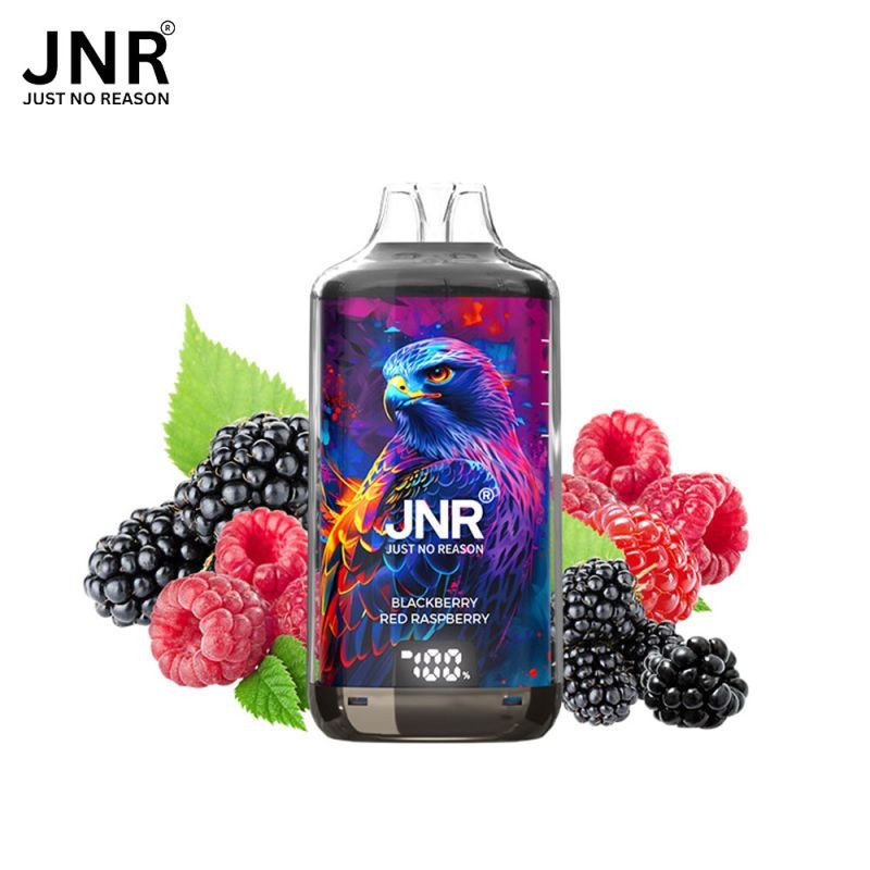 Puff JNR Falcon-X 28K – Blackberry Red Raspberry (20mg) - 2x10ml